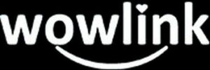 Wowlink logo black
